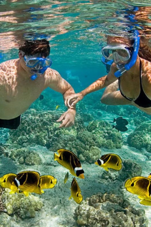 Buceo